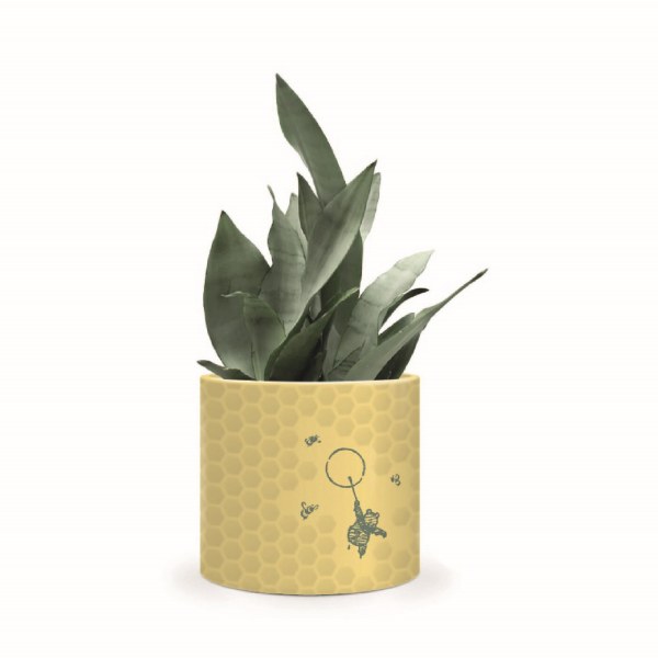 Pot de fleurs en nid d'abeille Winnie l'ourson - Disney
