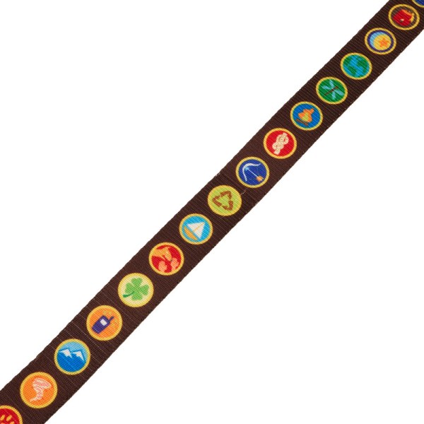 Laisse Badges d'explorateur Là-Haut 15e anniversaire - DISNEY LOUNGEFLY