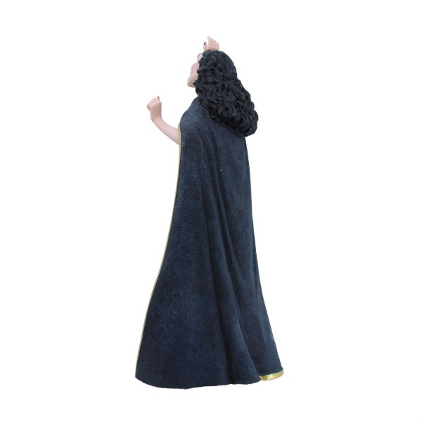 Mère Gothel 15e anniversaire - Disney Showcase Raiponce