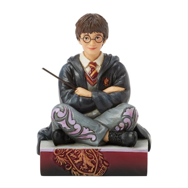 Harry Potter avec sa baguette - Harry Potter