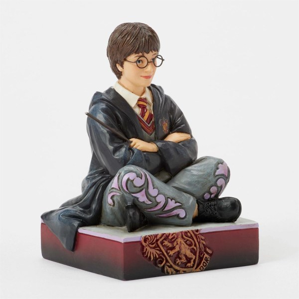 Harry Potter avec sa baguette - Harry Potter
