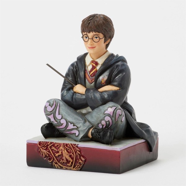 Harry Potter avec sa baguette - Harry Potter