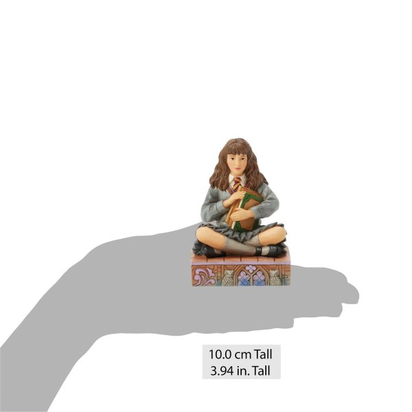 Hermione avec des livres - Harry Potter
