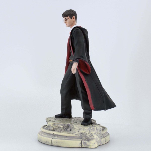 HARRY POTTER 6e année - Harry Potter