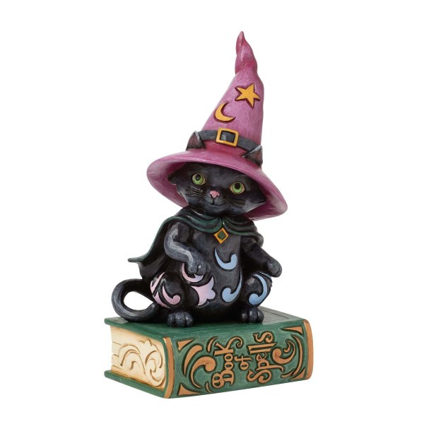 CHAT NOIR ASSIS SUR UN LIVRE DE SORTS - HEARTWOOD CREEK