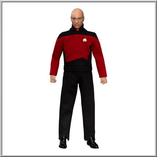 Figurine de 20 cm de Jean-Luc Picard de Star Trek : Générations