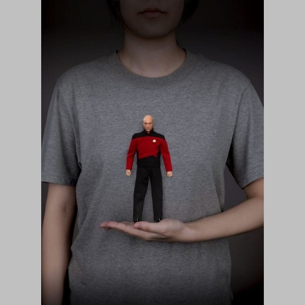 Figurine de 20 cm de Jean-Luc Picard de Star Trek : Générations