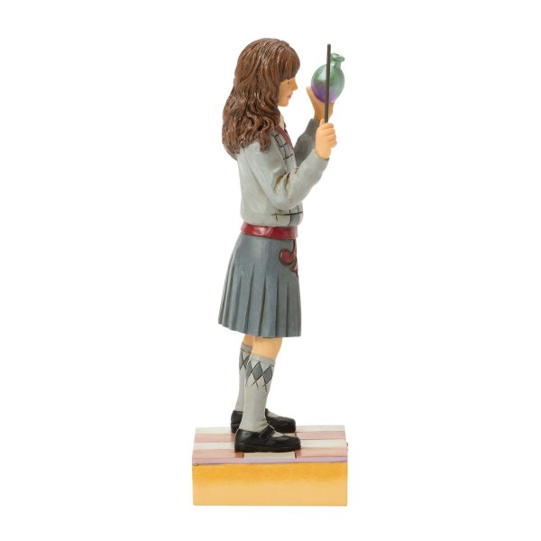 La potion d'Hermione - Harry Potter