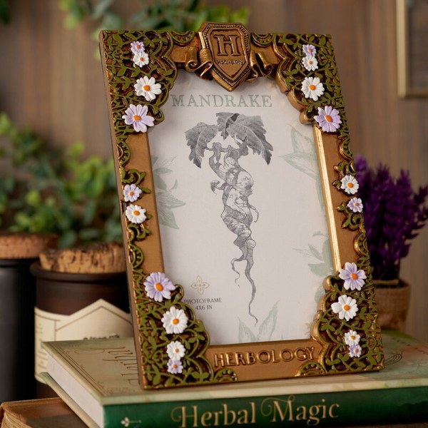 Cadre photo d'herboristerie - Harry Potter