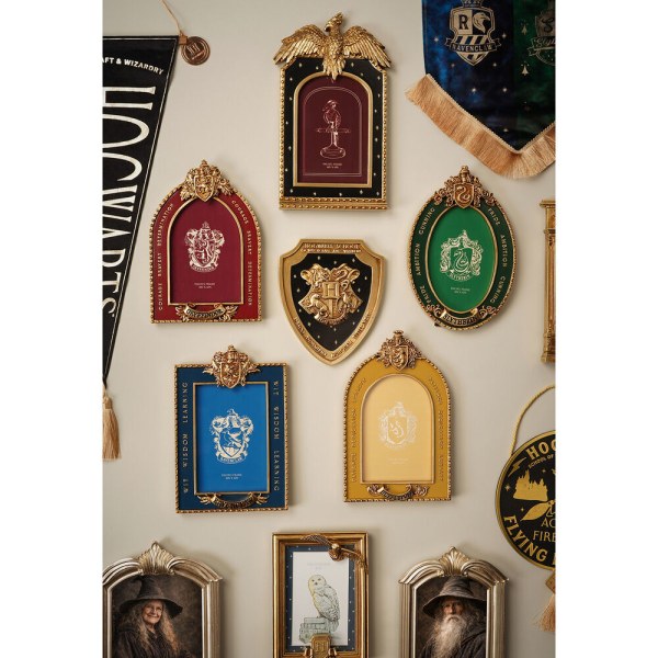 Cadre photo Fumseck - Harry Potter