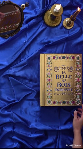 Livre Disney - La Belle Au Bois Dormant - Le Grimoire