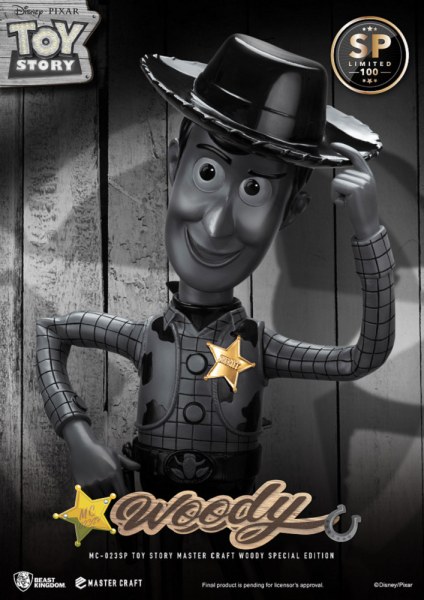 WOODY MASTERCRAFT SPÉCIALE ÉDITION - DISNEY TOY STORY