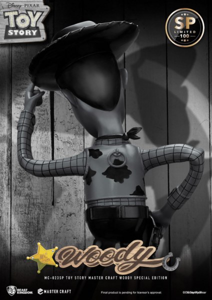 WOODY MASTERCRAFT SPÉCIALE ÉDITION - DISNEY TOY STORY