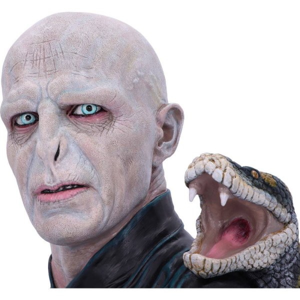 BUSTE VOLDEMORT - HARRY POTTER